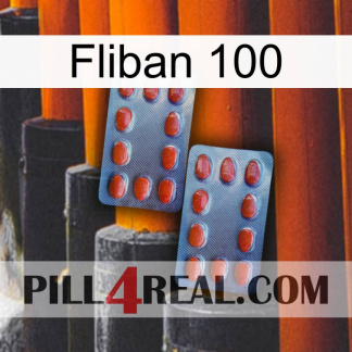 Fliban 100 05